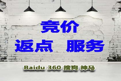 某品牌SEM广告投放效果全解析