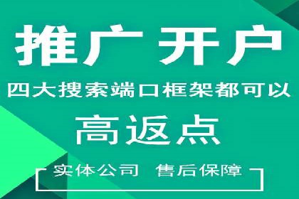 行业领先的SEM优化案例：提升品牌曝光率